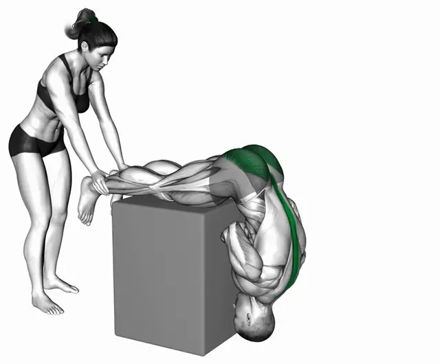 보조 하이퍼익스텐션 자세 시연