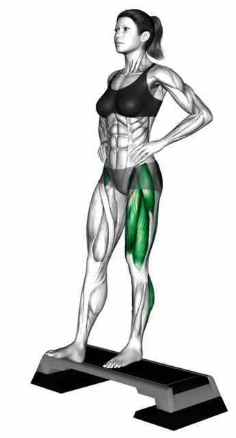 박스 패트릭 스텝 자세 시연