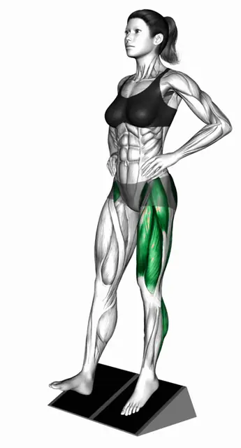 폴리퀸 스텝 자세 시연