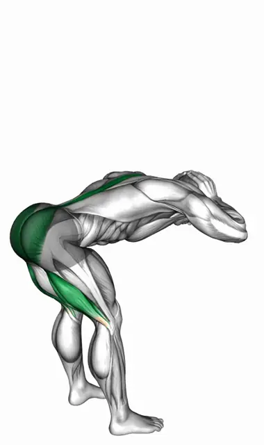 맨몸 스탠딩 루마니안 데드리프트 자세 시연