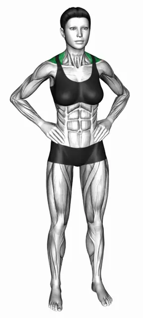 맨몸 슈러그 자세 시연