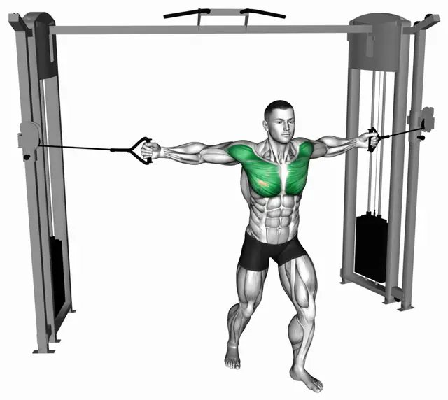 케이블 미들 플라이 자세 시연