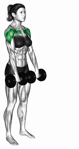 덤벨 얼터네이트 프론트 레이즈 자세 시연