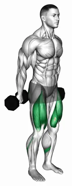 덤벨 핵 스쿼트 자세 시연