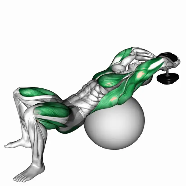 짐볼 덤벨 풀오버 힙 익스텐션 자세 시연