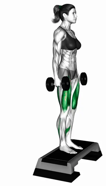 덤벨 스텝 리버스 런지 자세 시연