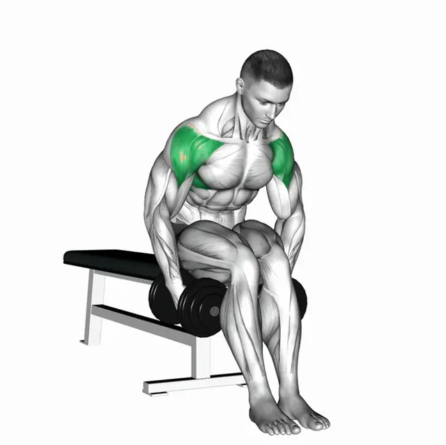 덤벨 시티드 벤트암 레터럴 레이즈 자세 시연