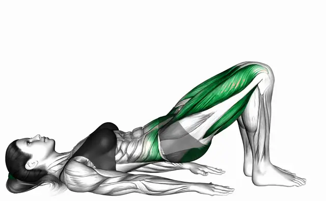 글루트 브릿지 마치 자세 시연
