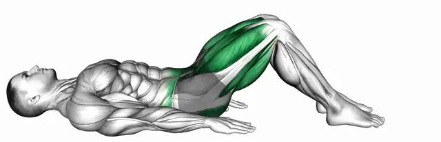 햄스트링 브릿지 마치 자세 시연