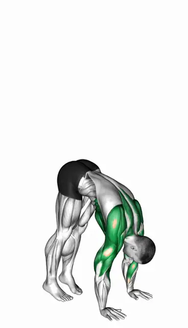 핸드스탠드 푸시업 자세 시연