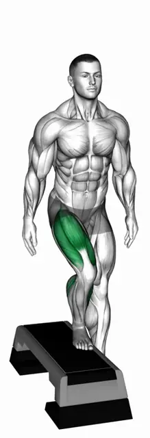 래터럴 스텝업 자세 시연