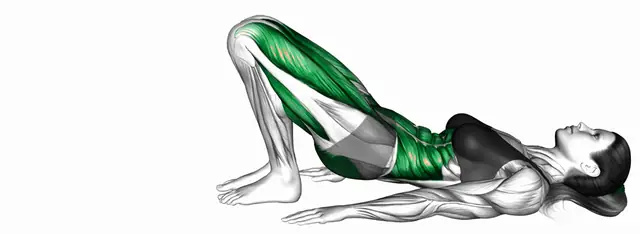 레그 익스텐션 글루트 브릿지 자세 시연