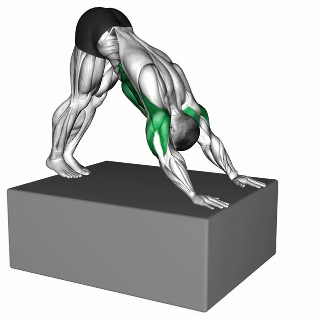 디피싯 파이크 푸시업 자세 시연