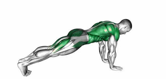 파워 포인트 플랭크 자세 시연