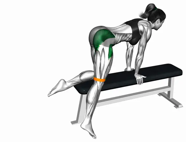밴드 벤치 닐링 레그 하프 서클 자세 시연