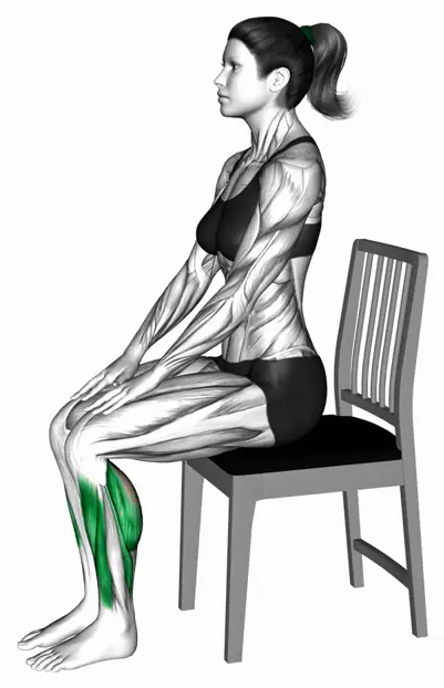 의자 시티드 카프 레이즈 자세 시연
