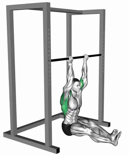 시티드 친업 자세 시연