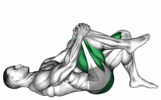 한 다리 글루트 브릿지 (무릎 당기기) 자세 시연