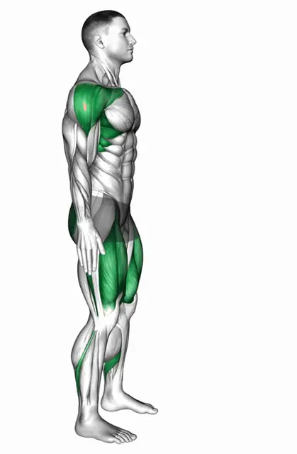 쿼터 스쿼트 프론트 레이즈 자세 시연