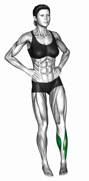 밸런스 발목 회전 자세 시연