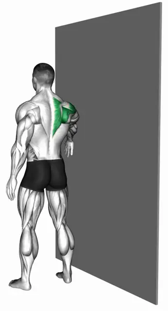 벽 짚고 한 팔 서클 자세 시연