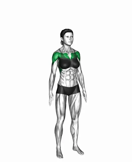 스탠딩 사이드 오픈 암 레이즈 자세 시연