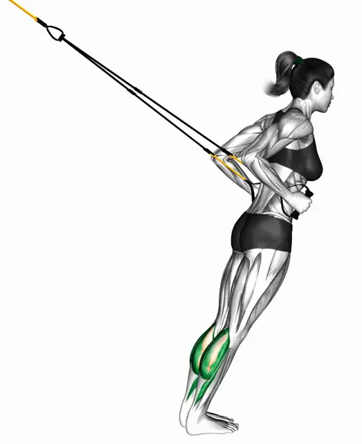 서스펜션 카프레이즈 자세 시연