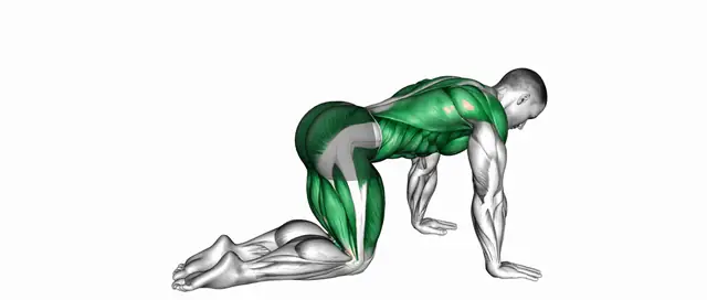 테이블탑 리치 크런치 자세 시연