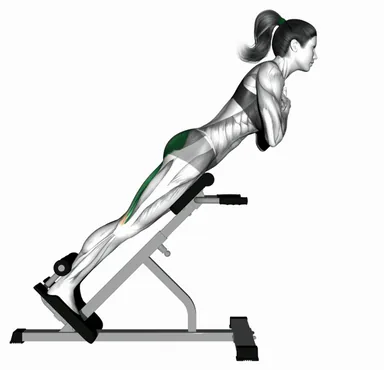 45° Hyperextension (Arms in Front of Chest) demo