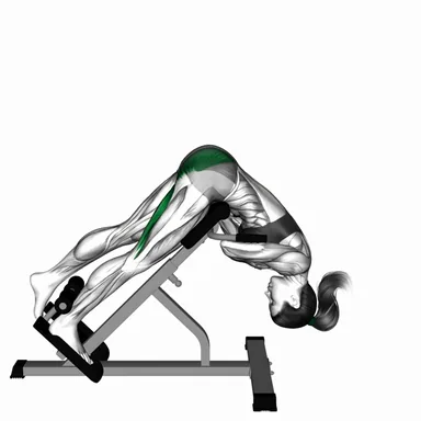 45 degree one leg hyperextension (arms in front of chest) demo