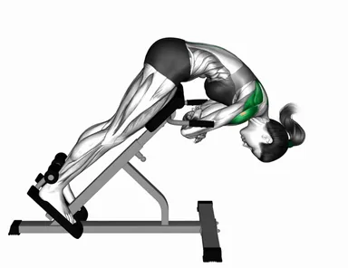 45 degrees Back Extension Scapula Adduction (Demo 2) demo