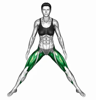 Abduction of One Leg Flexion Stretch demo
