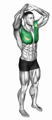 Above Head Chest Stretch demo