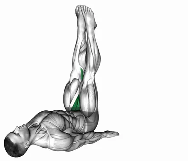 Adductor Stretch demo