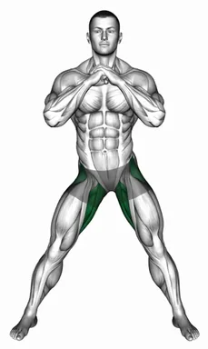 Adductors Stretch Coronal Plane demo