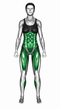 Alternate Forward Kick demo