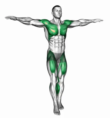 Alternate Front Kick in Place with Arm Circles demo