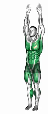 Alternate Leg Lift Double Hands Crunch demo
