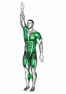 Alternate Leg Lift Tap Arms Circle demo