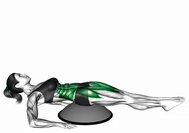 Alternate Straight Leg Raise (on bosu ball) demo