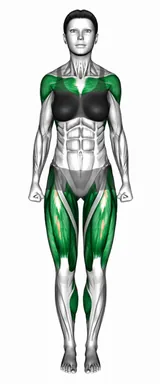 얼터네이팅 프런트 킥 포워드 푸시 자세 시연