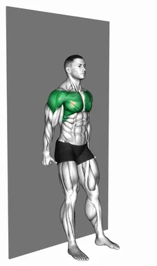 Alternating Back to Wall Y Raise demo