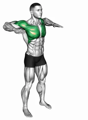 Arm Crossover Chest Out demo