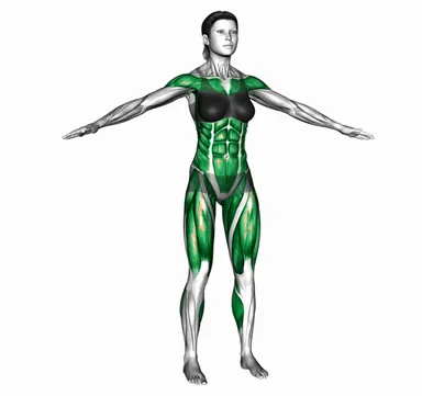 Arms Circle Knee Raise demo