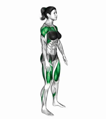 Arms Full Circle Squat demo
