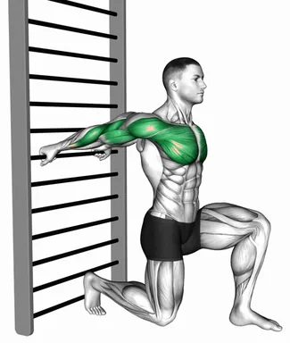 Arms Stretch on a Support demo