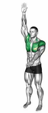 Arms-Up and Down demo