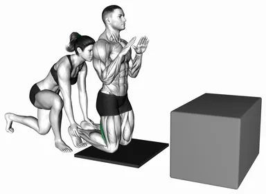 Assisted Partial Range Inverse Leg Curl demo