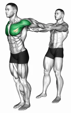 Assisted Pulling Backs Chest Stretch demo