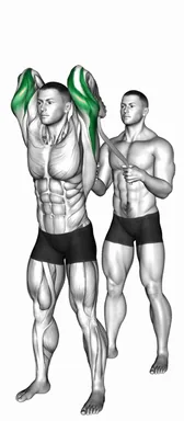 Assisted Standing Triceps Extension (with towel) demo